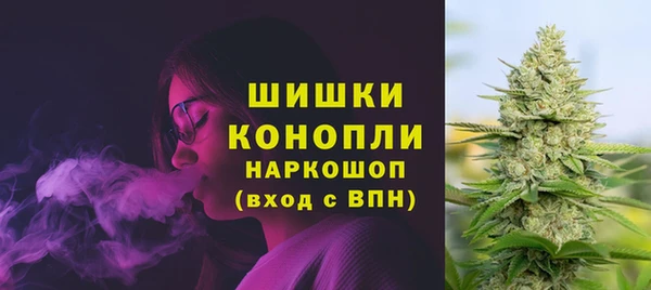 СК Балахна