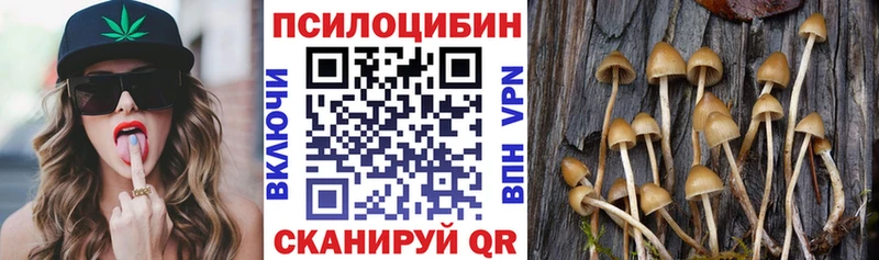 Псилоцибиновые грибы Magic Shrooms  Шарыпово 